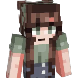 PlaneZebra97993 Minecraft avatar bust