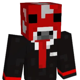 Plastis1339 Minecraft avatar bust
