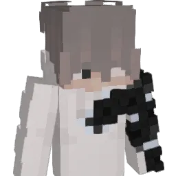 PlatyWin Minecraft avatar bust