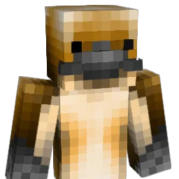 Platypus316 Minecraft avatar bust