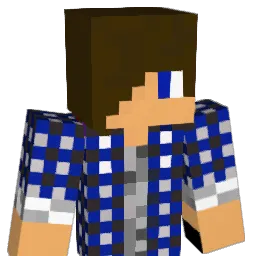 PlatypusNinja8 Minecraft avatar bust