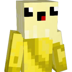 PlatyusSquad05 Minecraft avatar bust