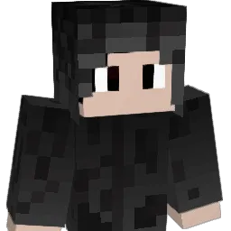PlayerBrasil13 Minecraft avatar bust