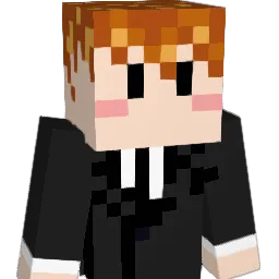 Playmaker4221 Minecraft avatar bust