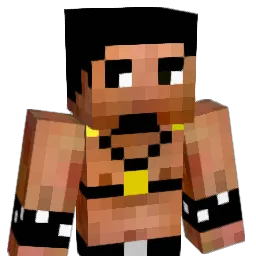 PlaywwithDarkVAN Minecraft avatar bust