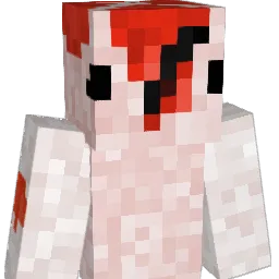 PleasantKoi