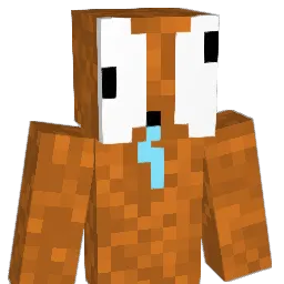 Ploop8863's Minecraft skin