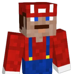 Plopkoek14 Minecraft avatar bust