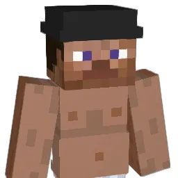Plummis