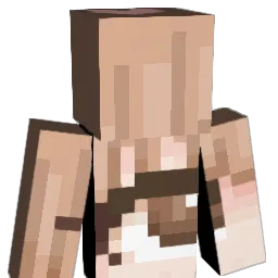 PlzCallThePolice Minecraft avatar bust
