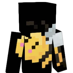 PmX Minecraft avatar bust