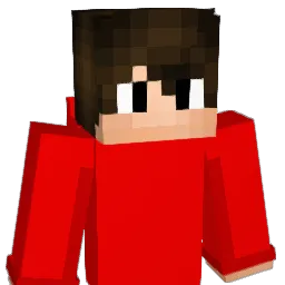 Pniokk Minecraft avatar bust