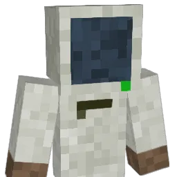 Pocci Minecraft avatar bust