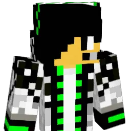 Pochy500 Minecraft avatar bust