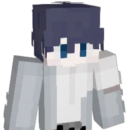 PockDavid1003 Minecraft avatar bust