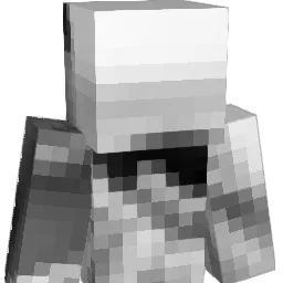 Poco_69 Minecraft avatar bust