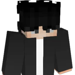 Poelseeee's Minecraft skin