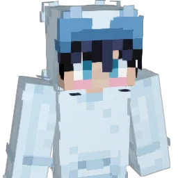 Pohakuz808 Minecraft avatar bust