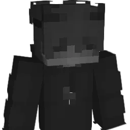 PoilDePixel