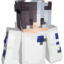 Poishii_V1 Minecraft avatar bust