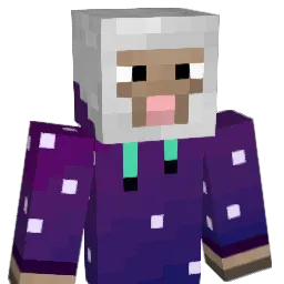 Pokach's Minecraft skin