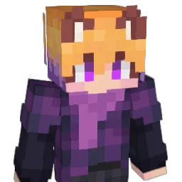 PokeToke Minecraft avatar bust