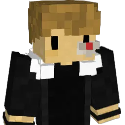 Pokeboog14 Minecraft avatar bust