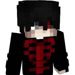 PokerAiden Minecraft avatar bust
