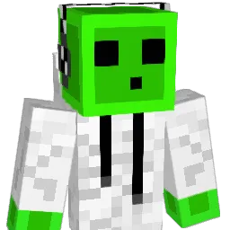 Polak2013 Minecraft avatar bust