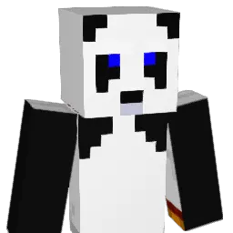 Polaretik Minecraft avatar bust