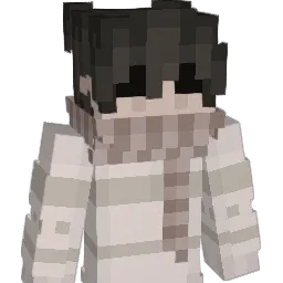 PolarizedCopy Minecraft avatar bust