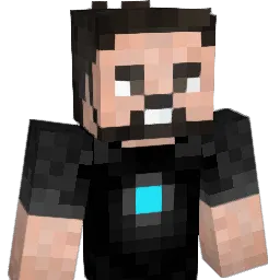 Polishelpworker's Minecraft skin