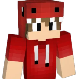 Pollomir Minecraft avatar bust