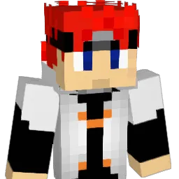 Polu_11 Minecraft avatar bust