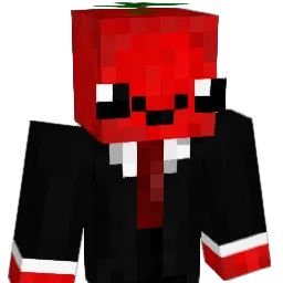 Pomod0r0 Minecraft avatar bust