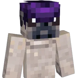 Pompadour_Pug Minecraft avatar bust