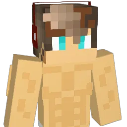 Pookie41576 Minecraft avatar bust