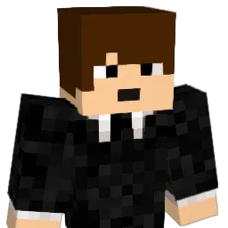 Pool_Mccarney Minecraft avatar bust