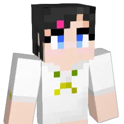 Popa2015's Minecraft skin