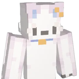 Popozinn