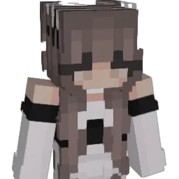 PorkThinksHHHHHH Minecraft avatar bust