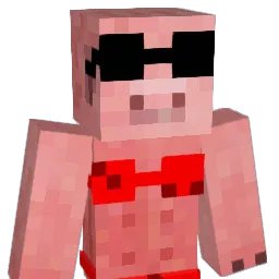 Porkinhaaa Minecraft avatar bust