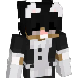 Positions111 Minecraft avatar bust
