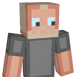 PosterHo Minecraft avatar bust