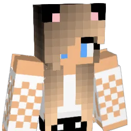 PotusV2's Minecraft skin