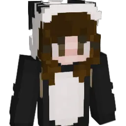 Ppr2021's Minecraft skin