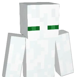 PrayForAllah's Minecraft skin