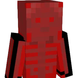 PreZii1 Minecraft avatar bust