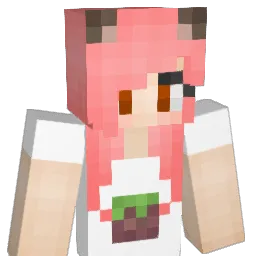 Pricat Minecraft avatar bust