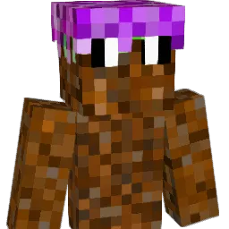Price1610 Minecraft avatar bust